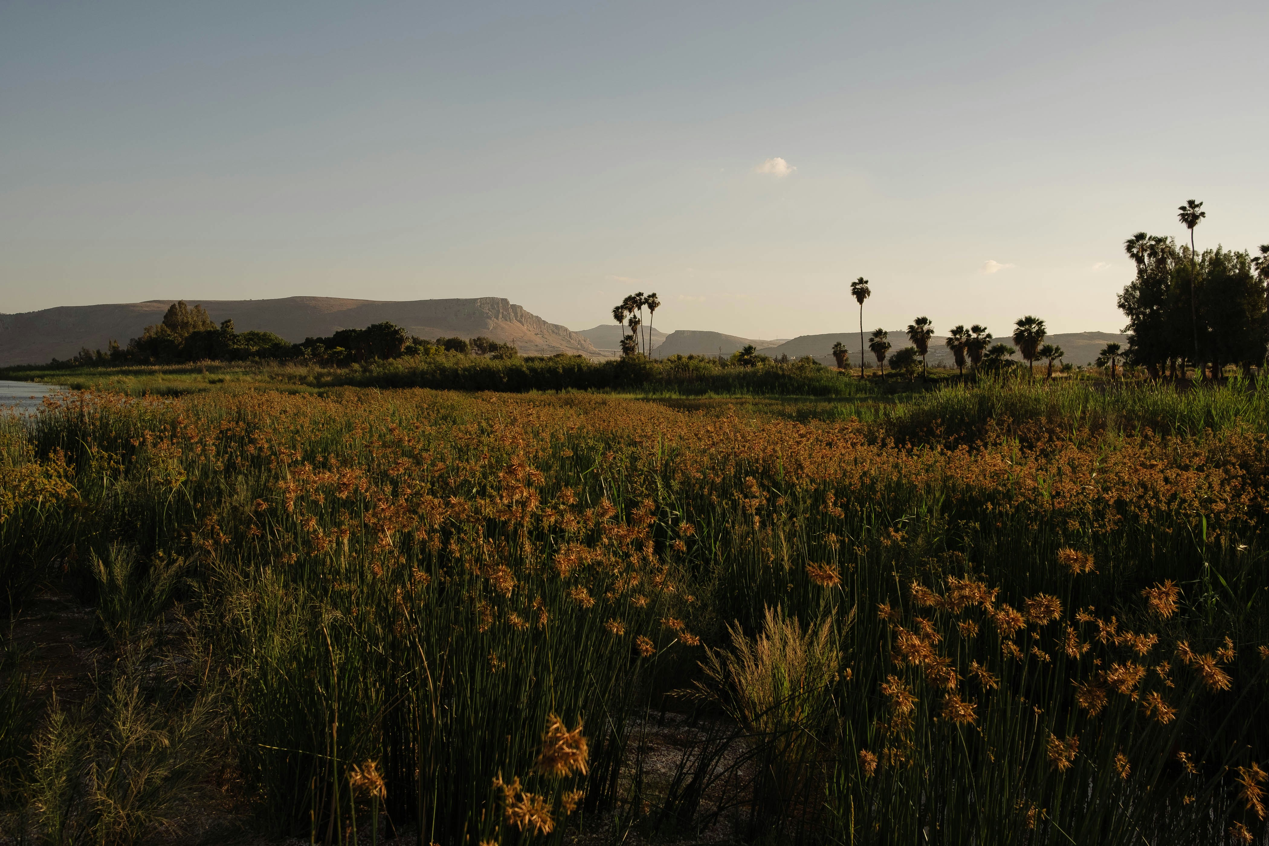 Photo by itsmattgates