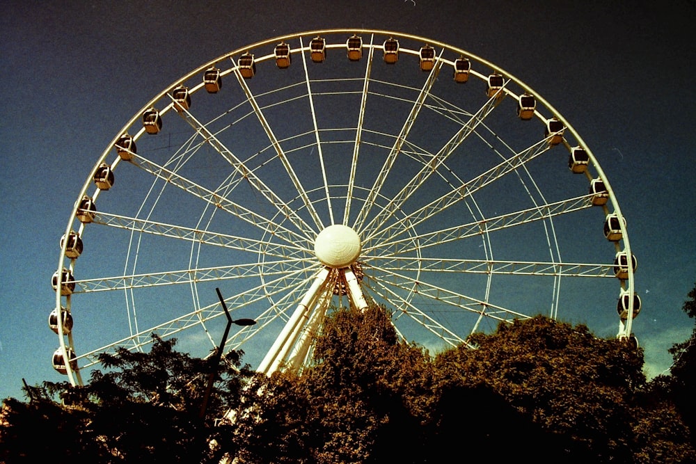 white and brown ferris wheel near green trees