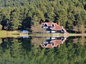a house sitting on top of a lake surrounded by trees