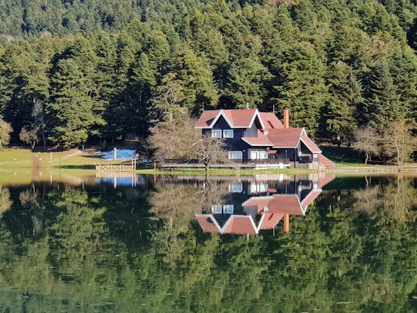 Lake View Properties