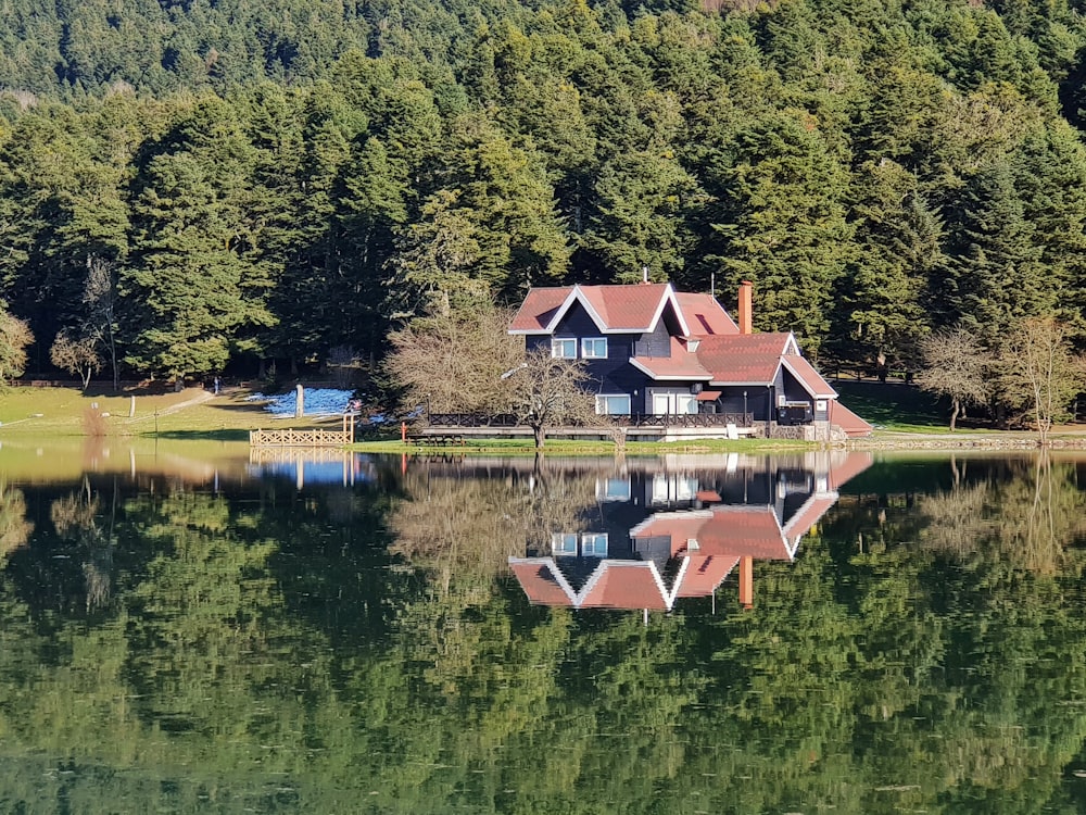 나무로 둘러싸인 호수 꼭대기에 앉아있는 집