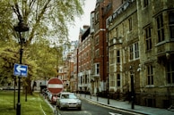 A street with historic brick buildings lining one side and parked cars along the road. Leafy green trees canopy the area, and a lamppost stands next to traffic signs indicating one way and no entry. The atmosphere is serene and urban, capturing the charm of an older city.