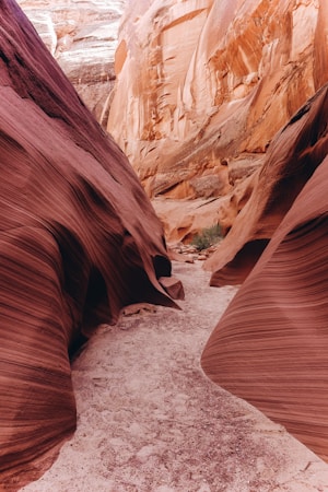 leading lines in composition,how to photograph grand canyon landmark