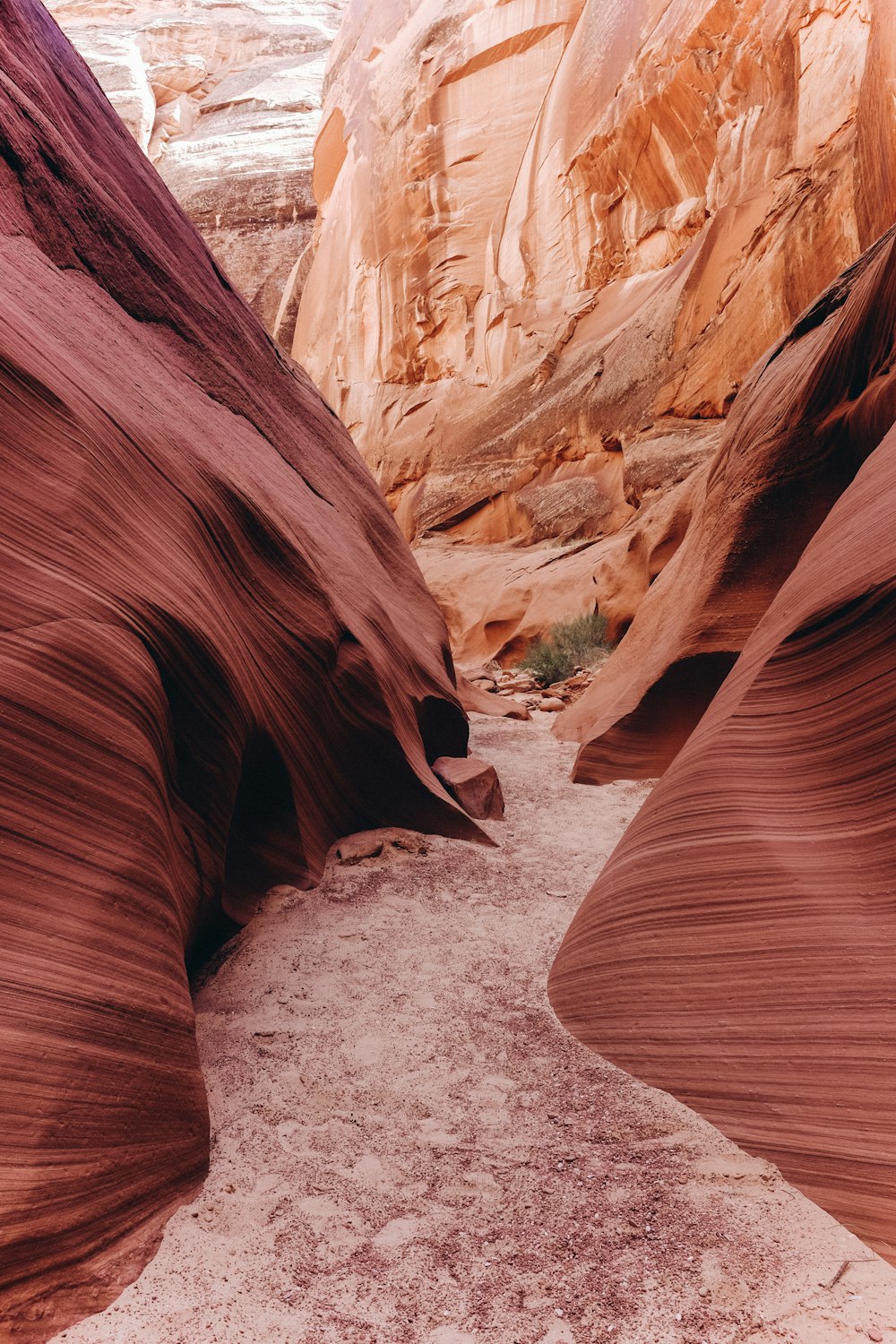 Point de repère du Grand Canyon