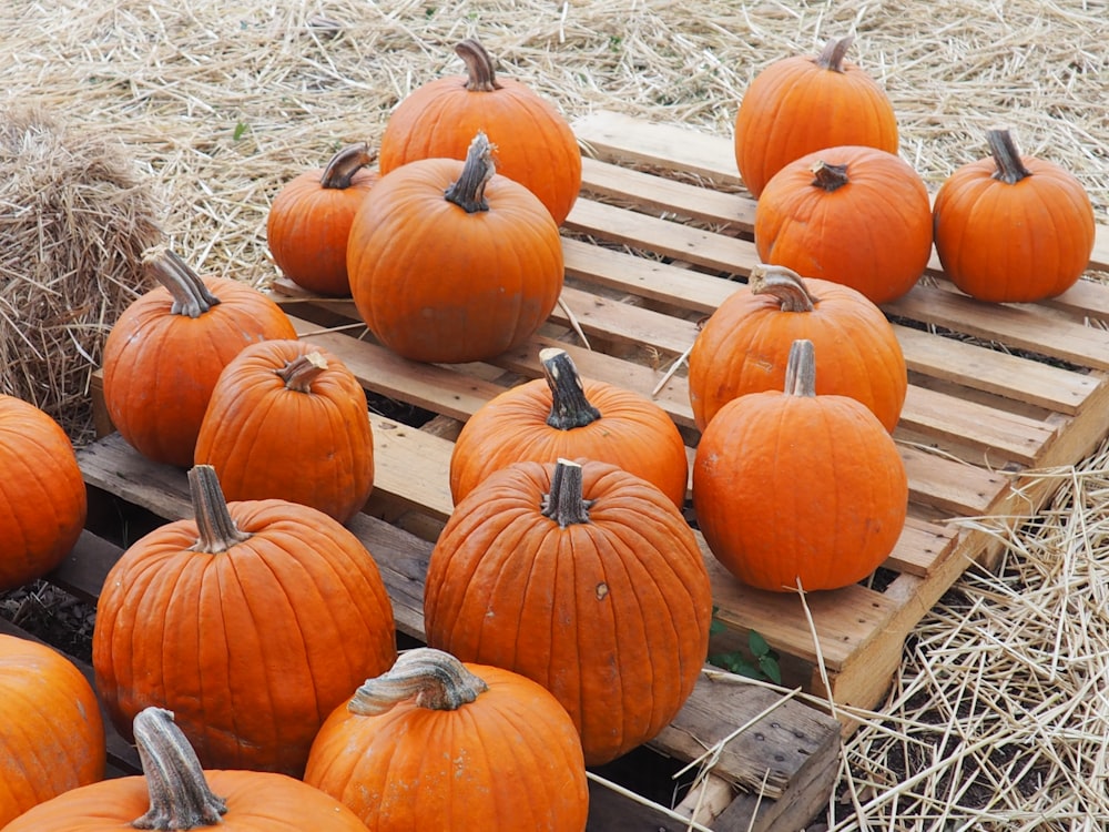 orange squashes