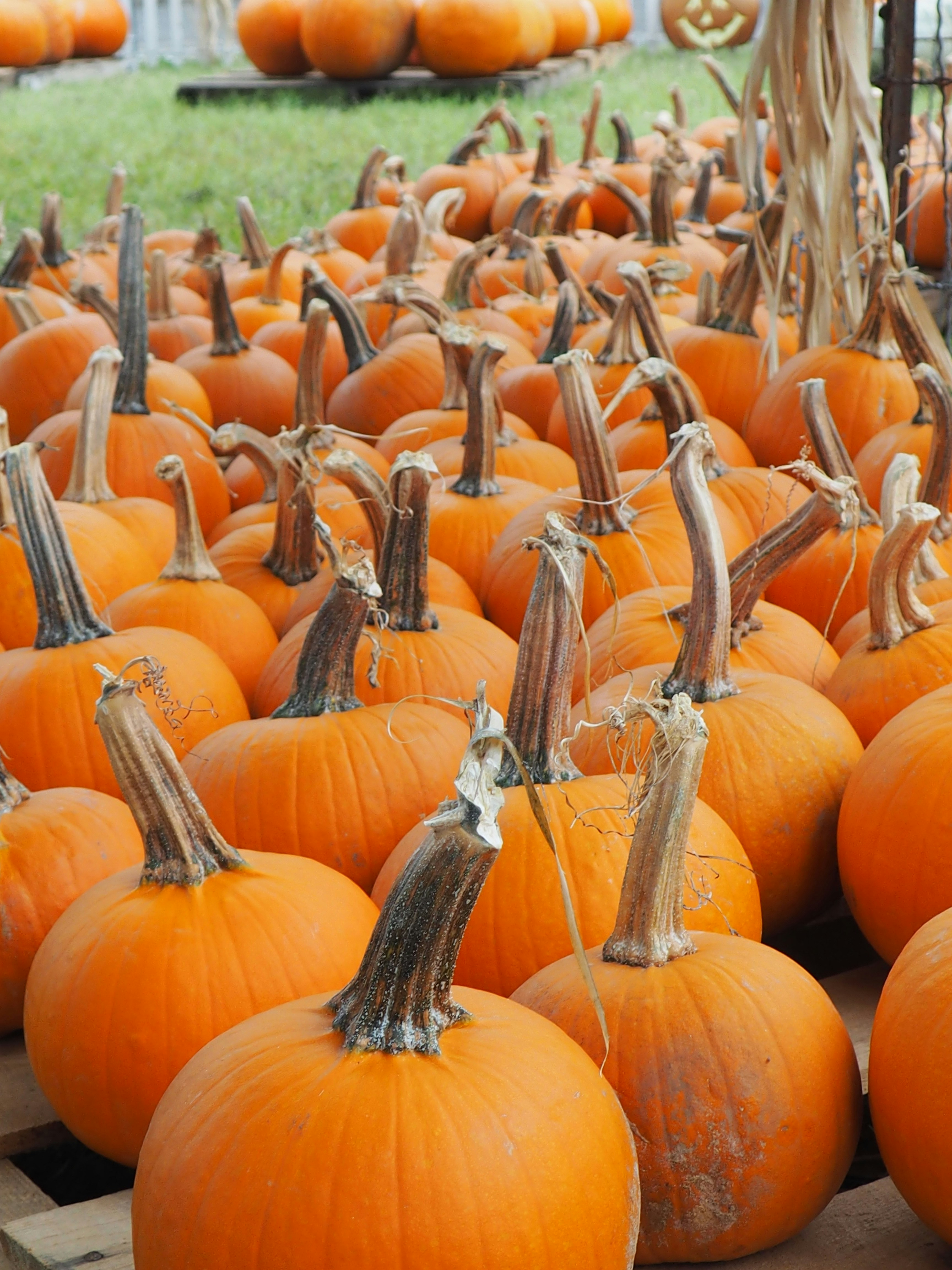 Photo by skateboarder_photographer87