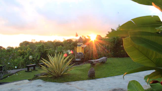 A gentle sunset over a peaceful garden where a memorial service is being softly recorded.