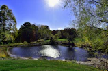A serene fish pond nestled in a lush green area under clear blue skies.