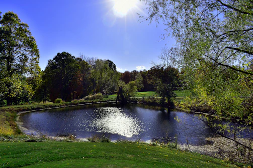 A serene fish pond nestled in a lush green area under clear blue skies.