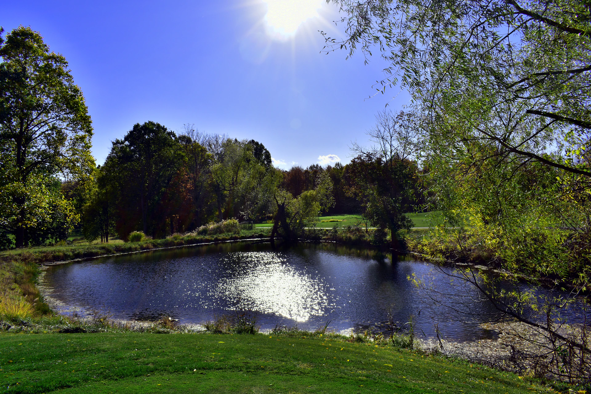 A tranquil pond reflecting the clear blue sky, surrounded by blooming flowers and rustic wooden benches.