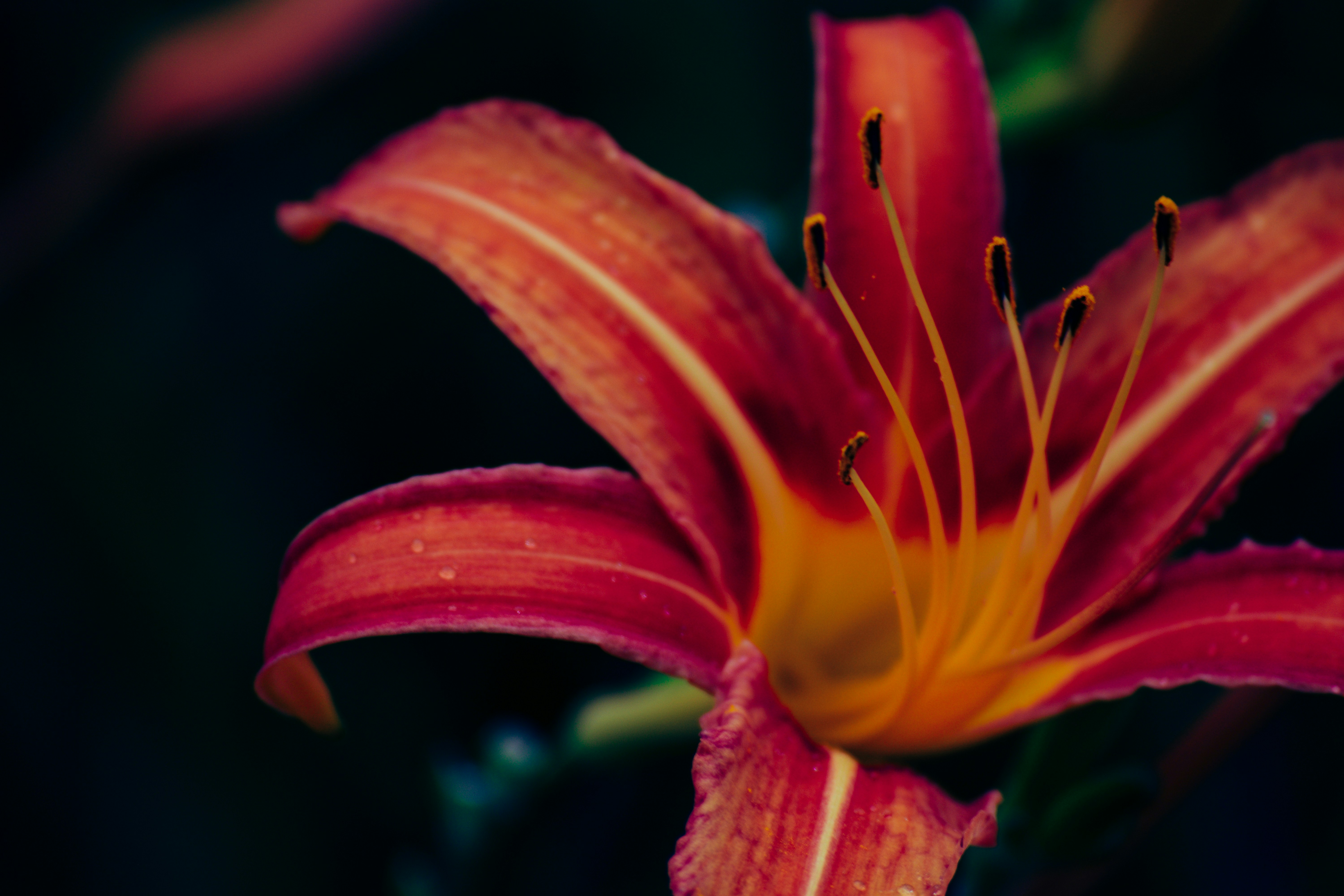 Photo by yaelgonzalez