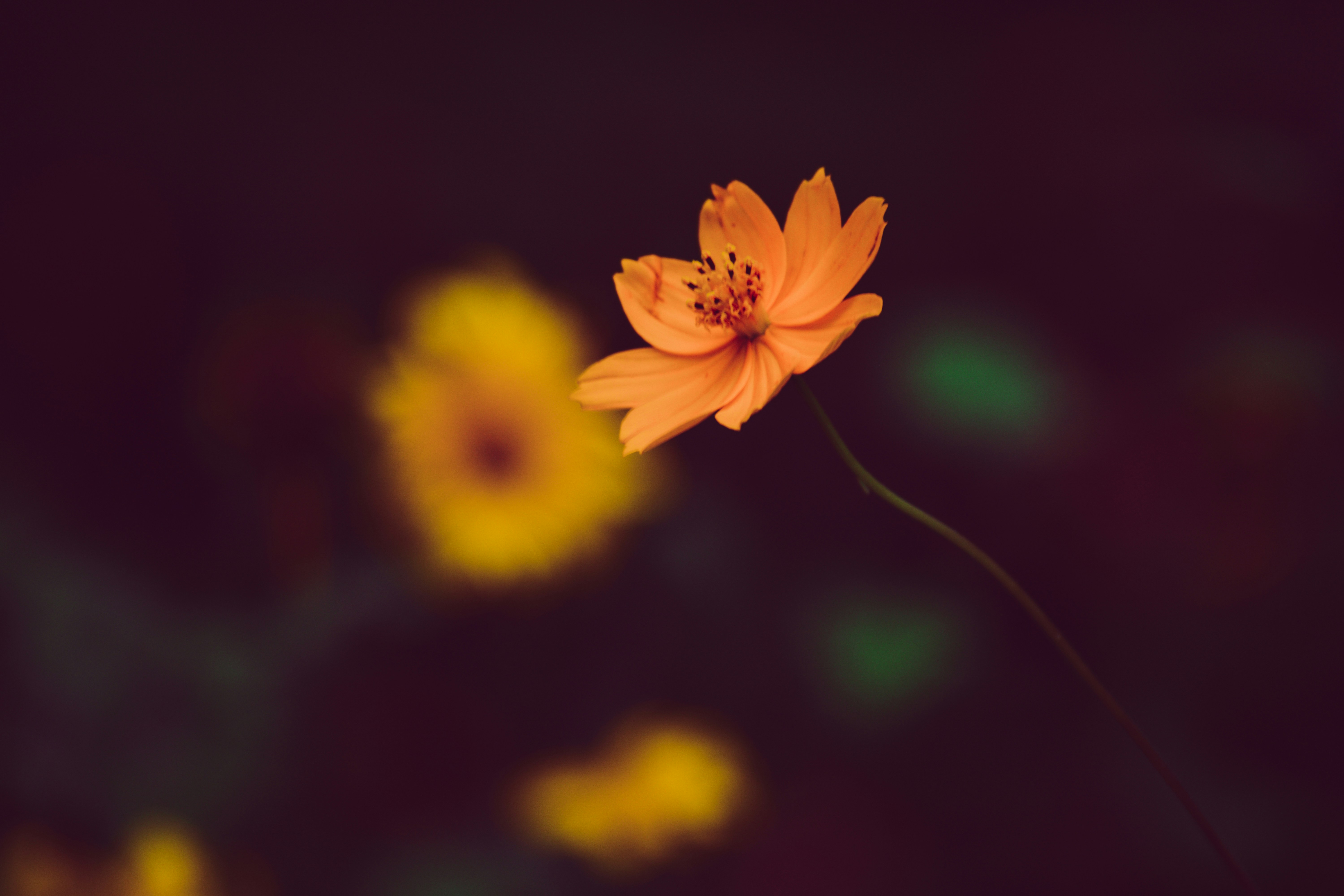 Photo by yaelgonzalez