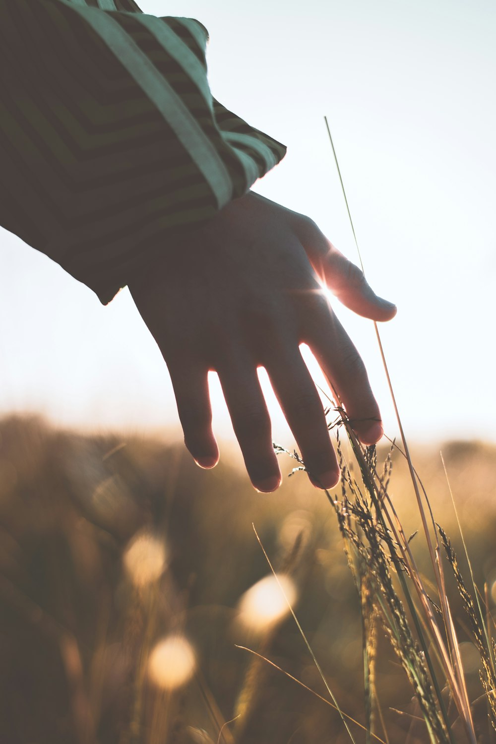 person touching grass