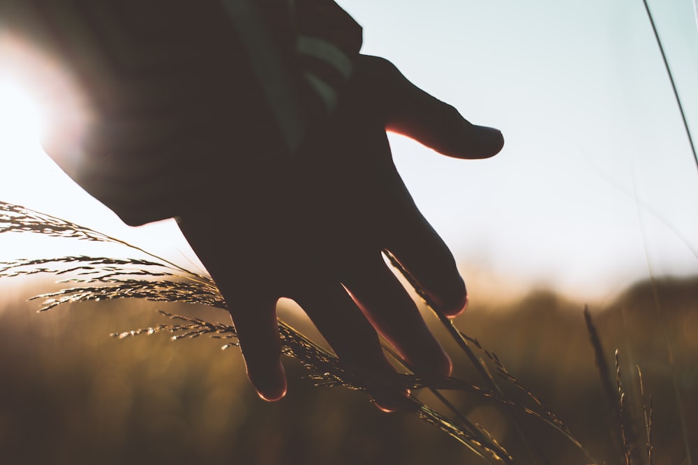 left person's hand