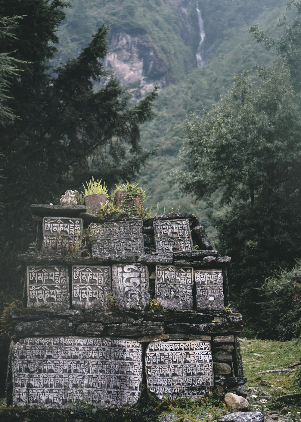 brown stone photograph on the forest