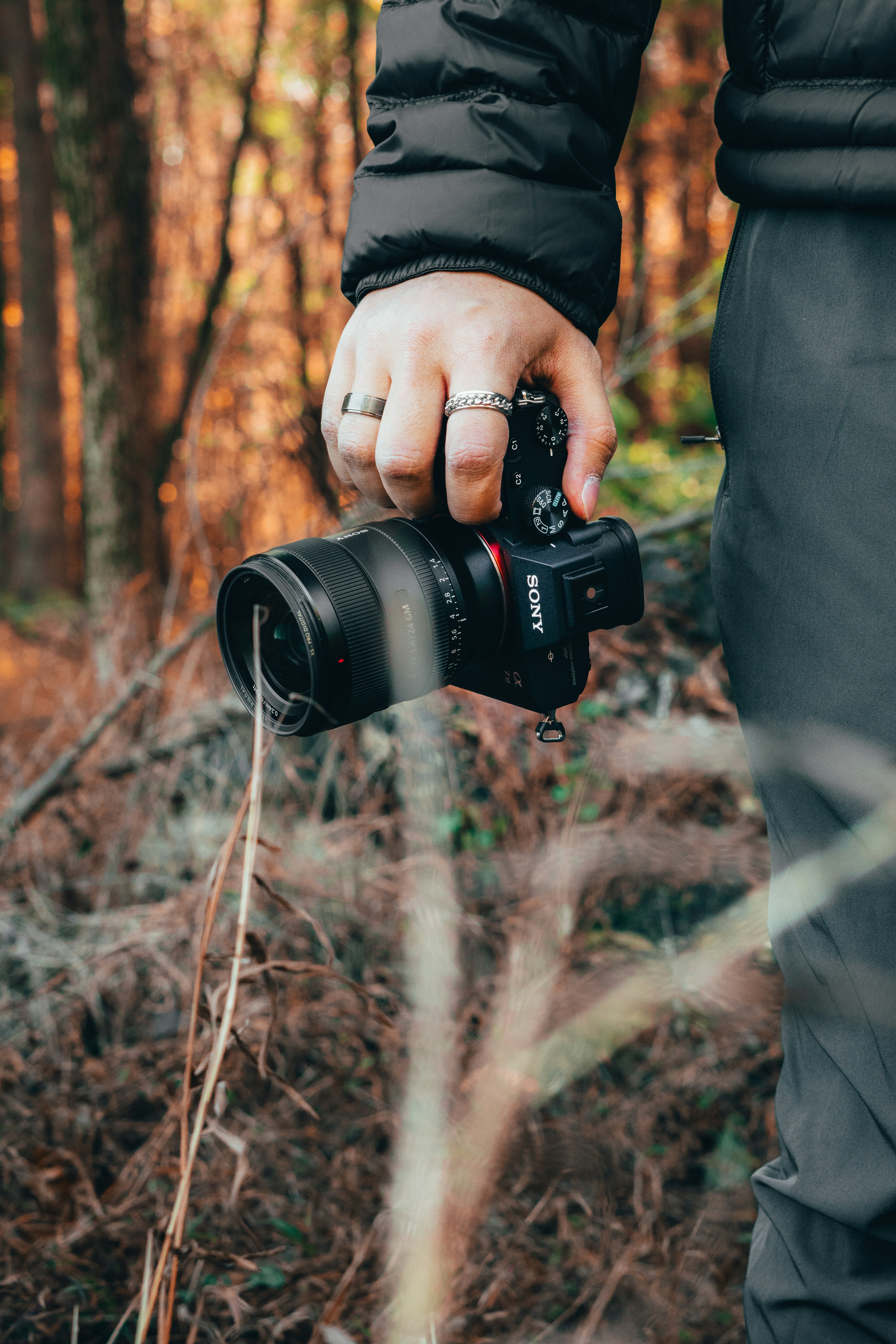 Photo by reynaldoriveraa