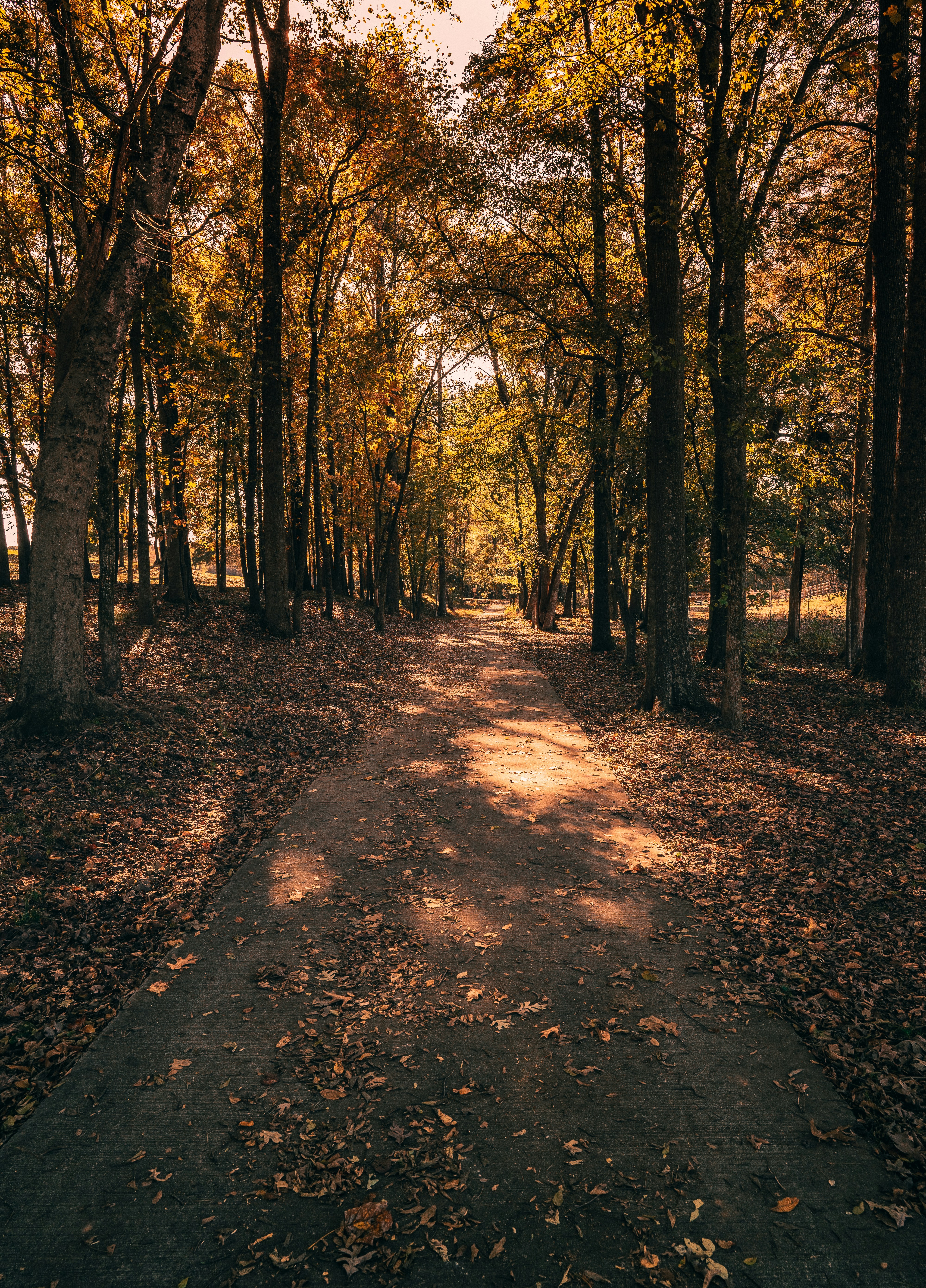 Photo by reynaldoriveraa