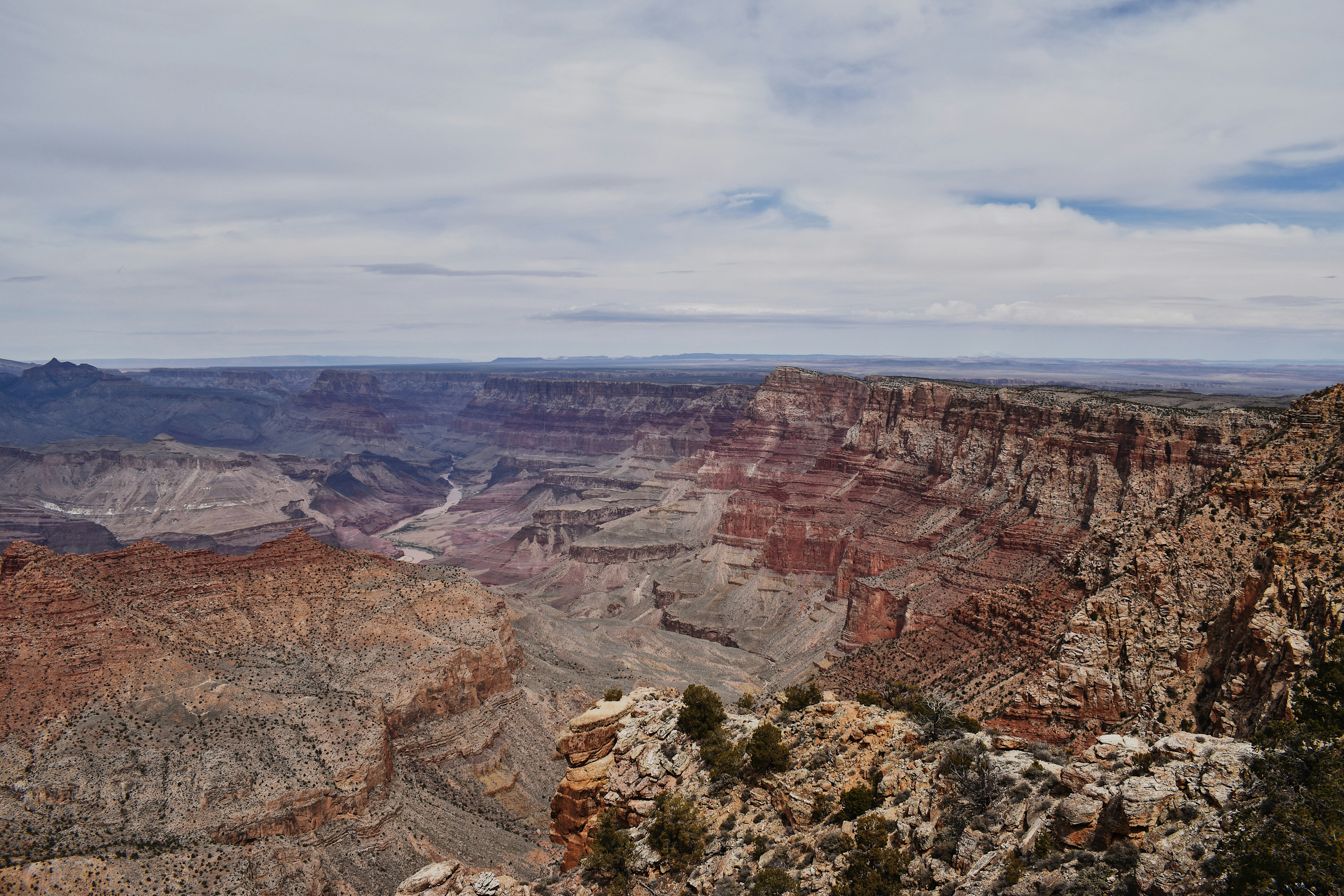 Photo by kellistovall