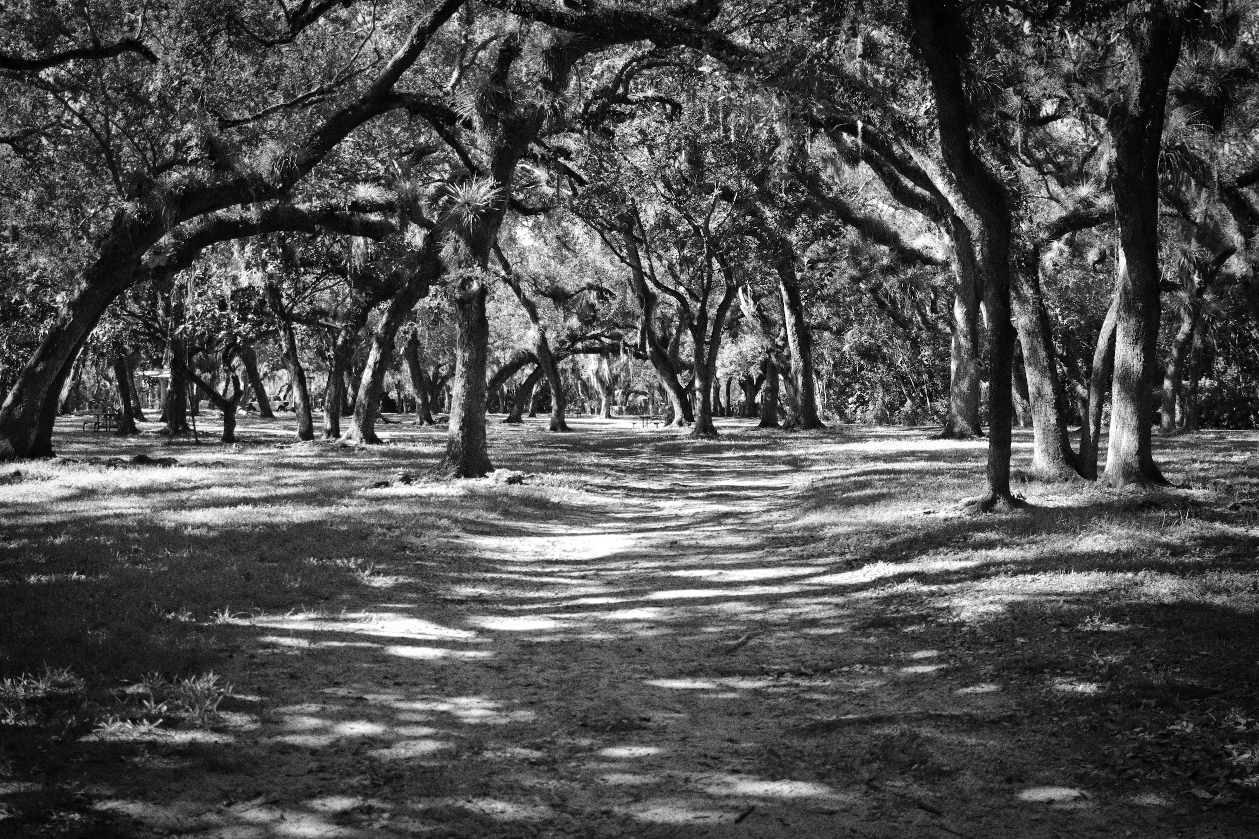 Photo by mimidicianni