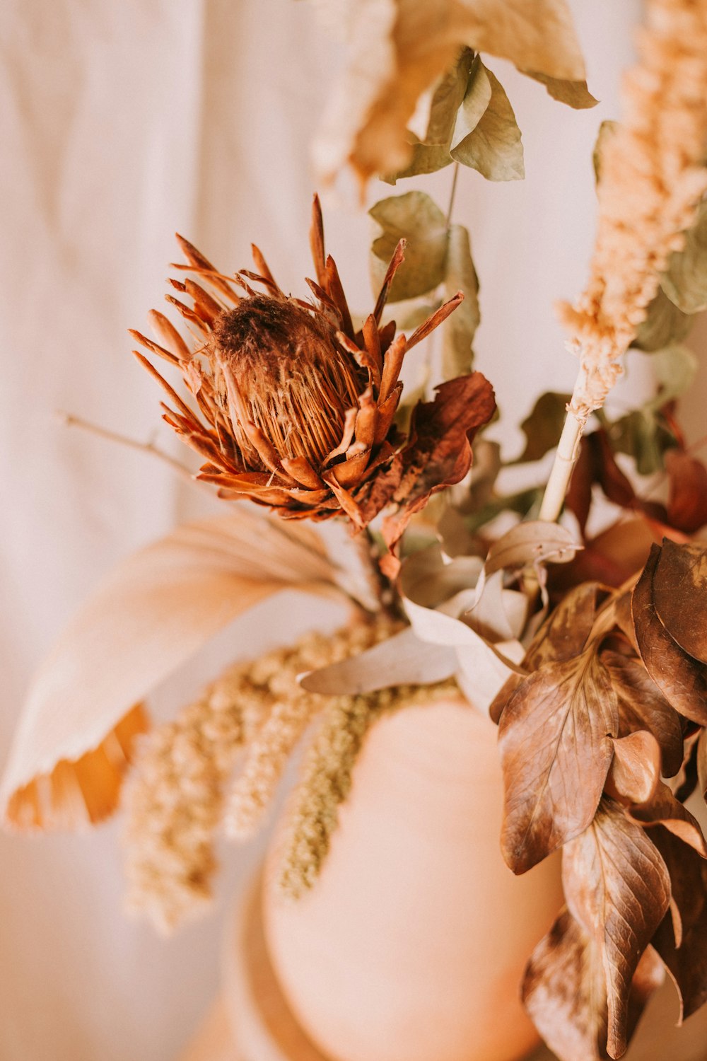 brown petaled flower