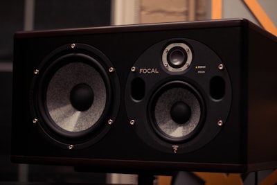 black Focal speaker