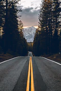 road near forest