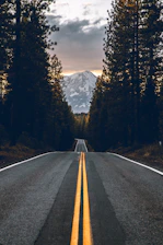 road near forest
