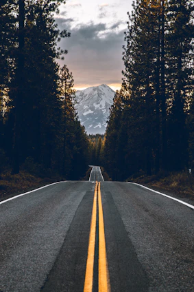 road near forest