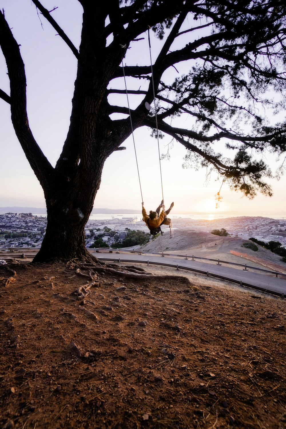 person sitting on swing