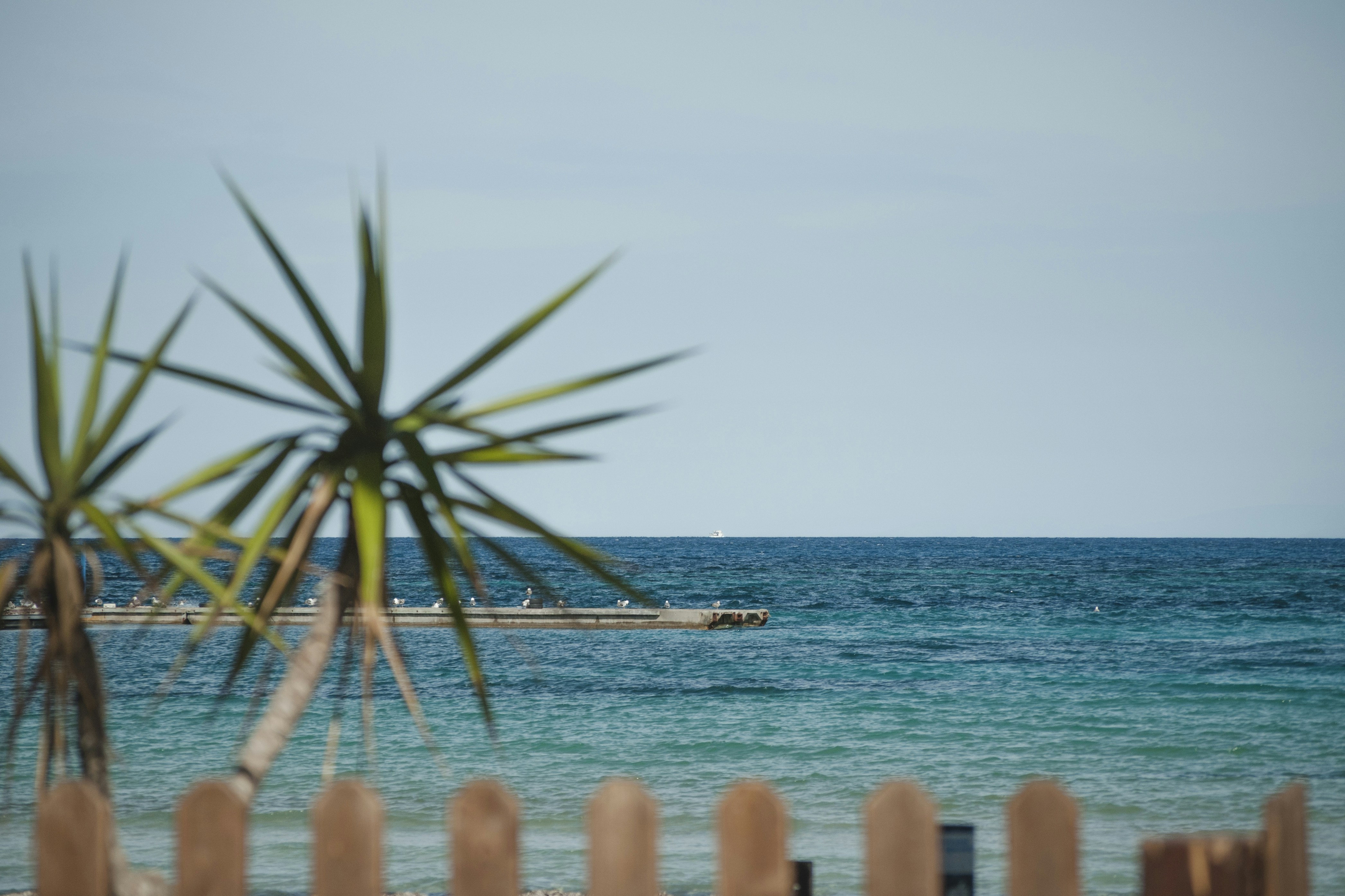 Photo by yuli_superson