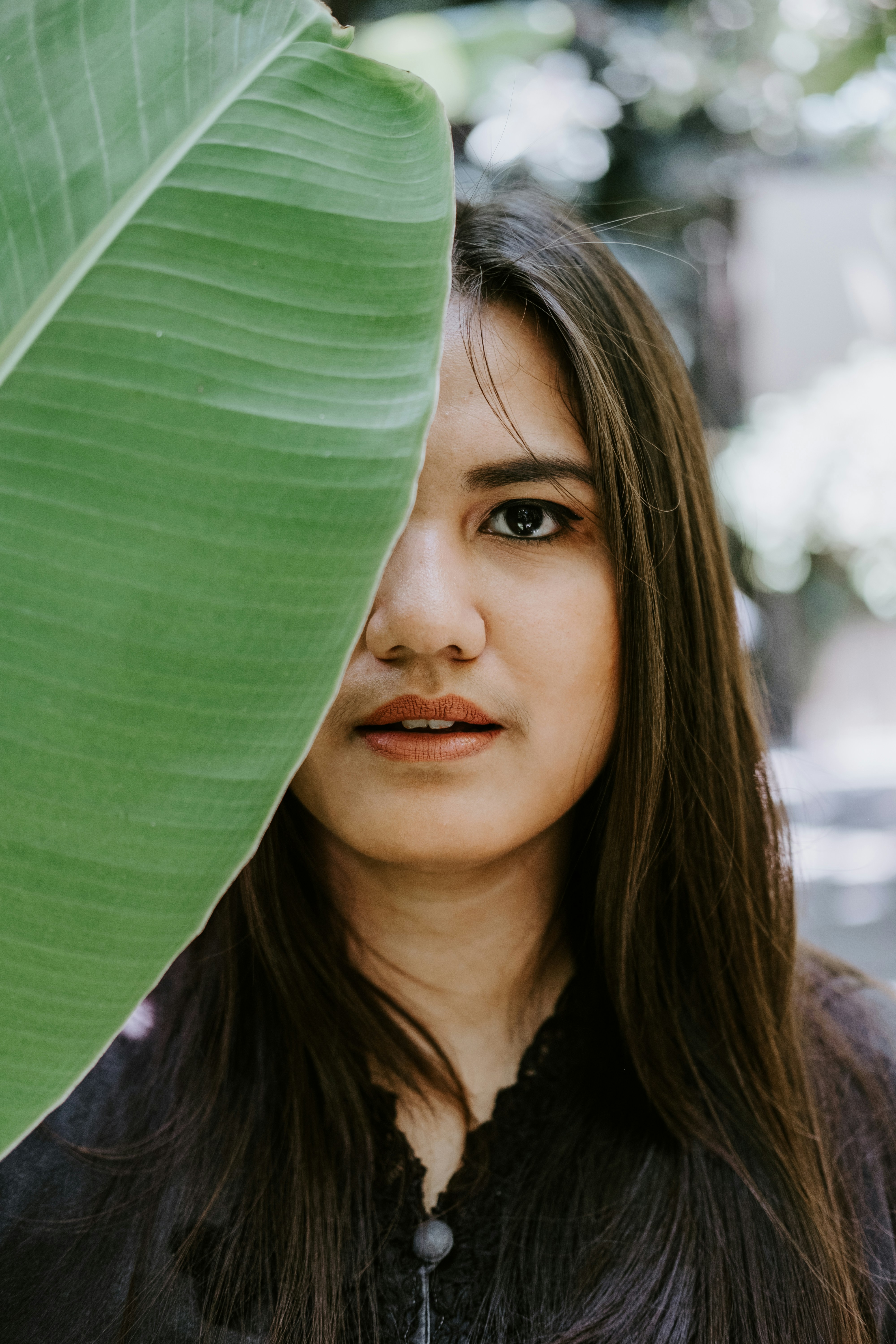 Photo by sudharmaputra