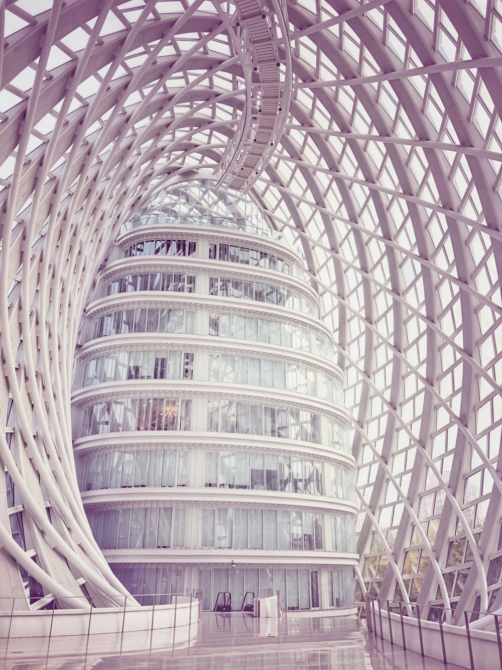 interior view of glass building inside metal frame dome