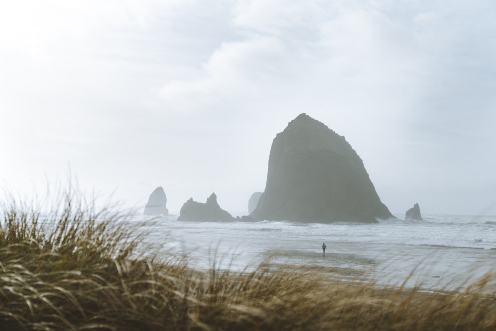 islets under white sky