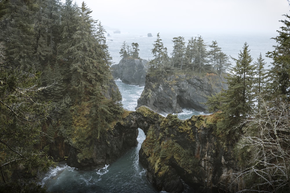 rocky and tree covered island during day