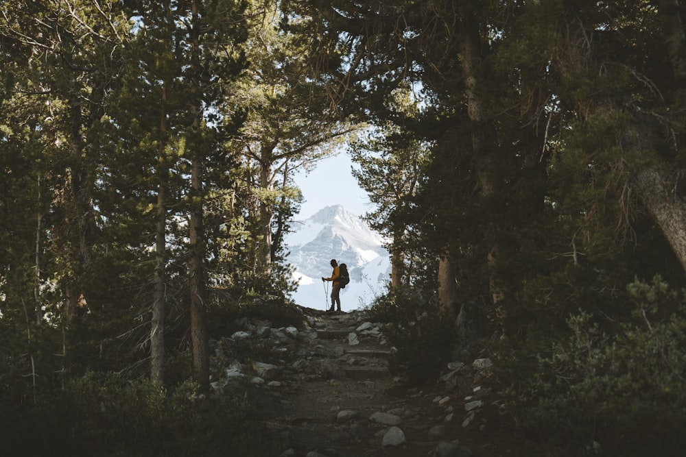 person standing beside trees