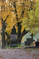 An autumn scene in a cemetery with golden-yellow leaves blanketing the trees. Gravestones and a memorial cross are visible, with fallen leaves scattered on the ground. The setting is peaceful and serene with soft, diffused lighting.
