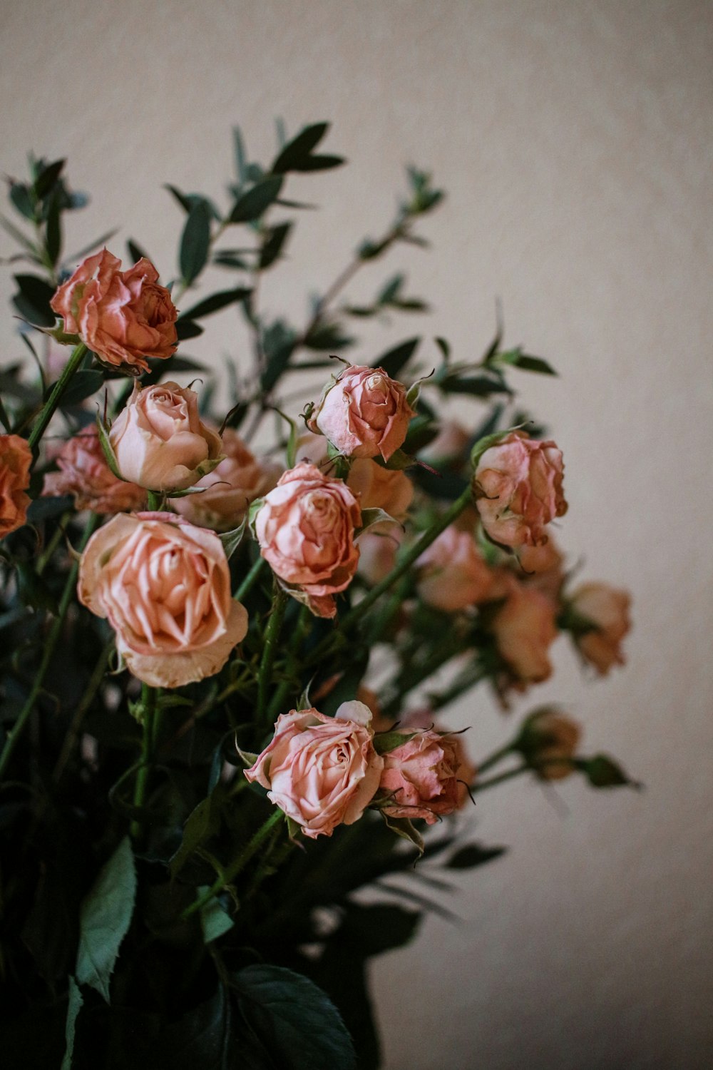 fleurs à pétales roses