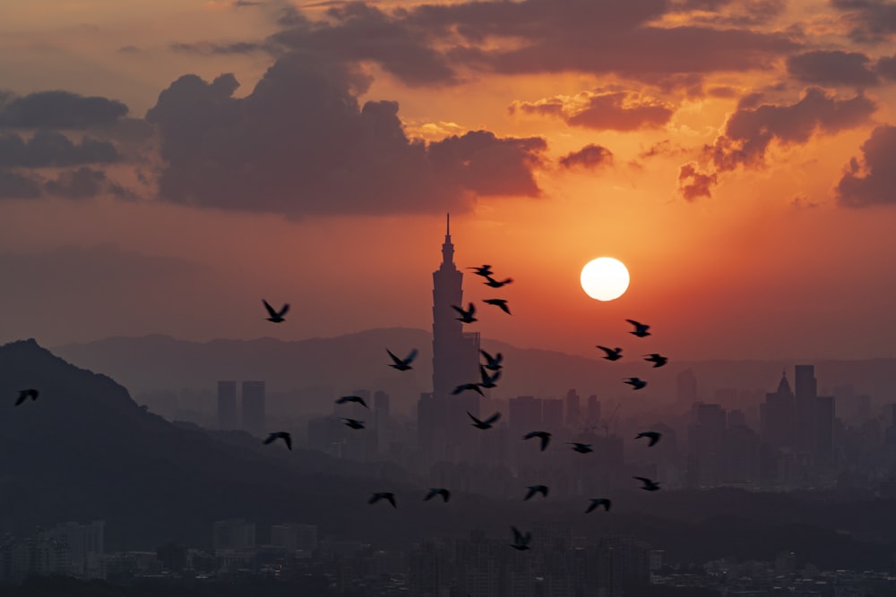 silhouette of city buildings