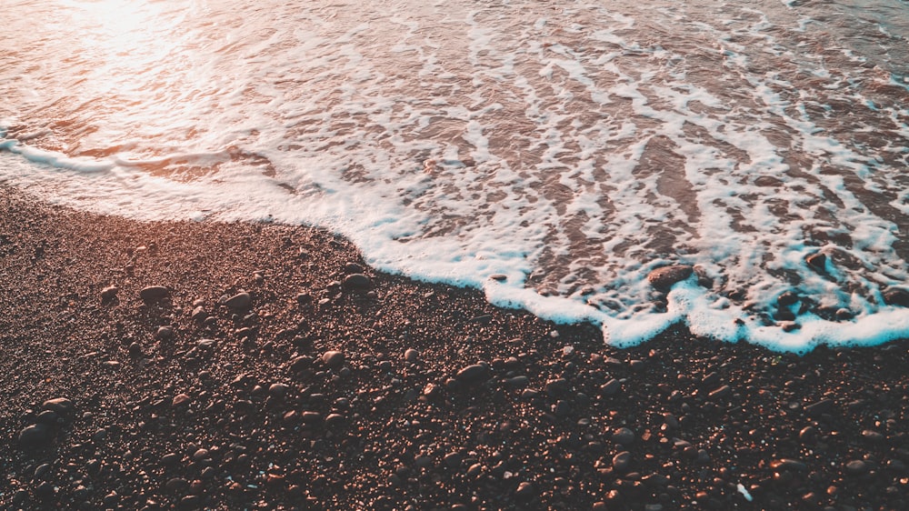 scattered stones on shoreline