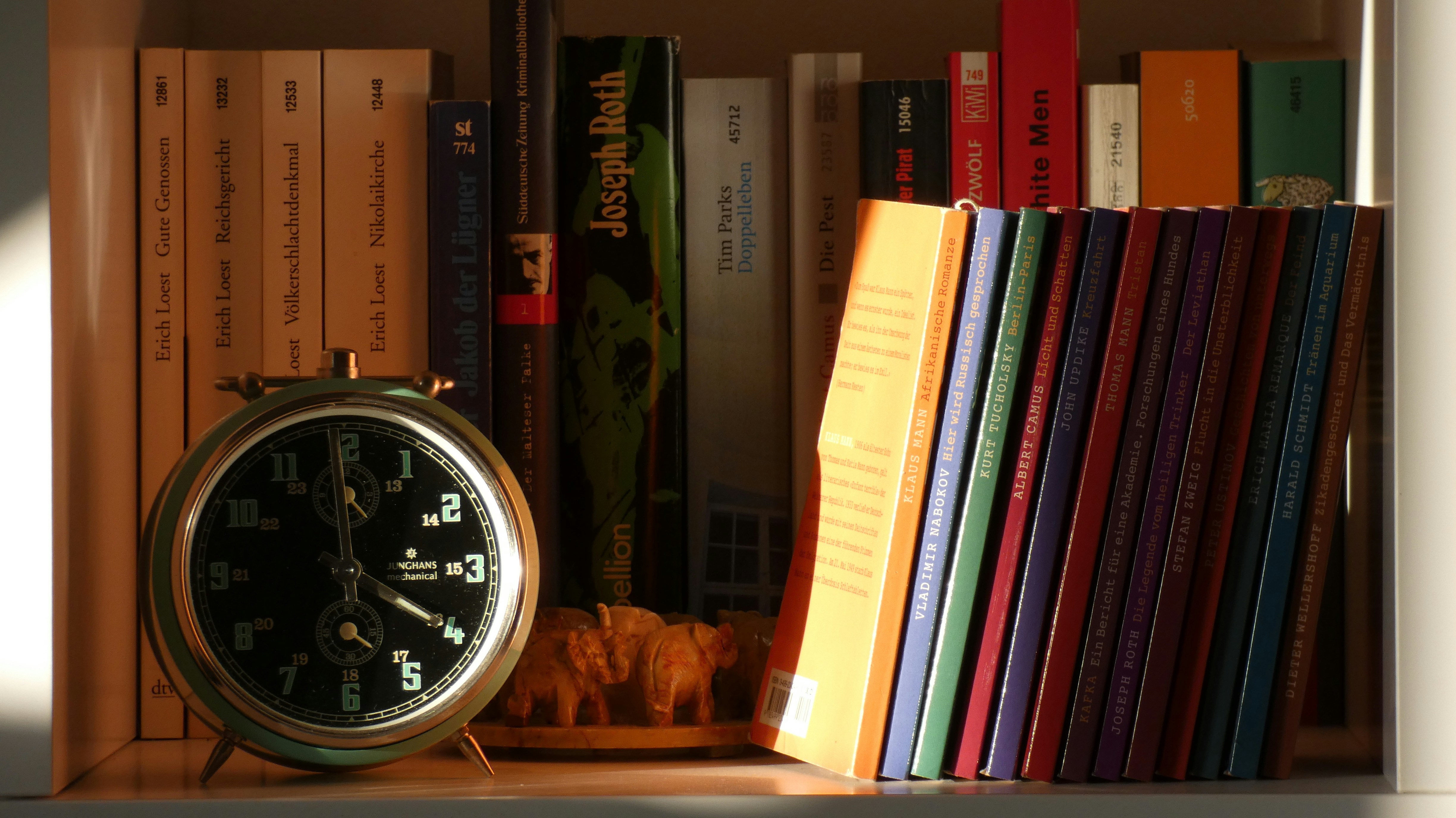 photo 1573115660735 455269046383?ixlib=rb 4.0