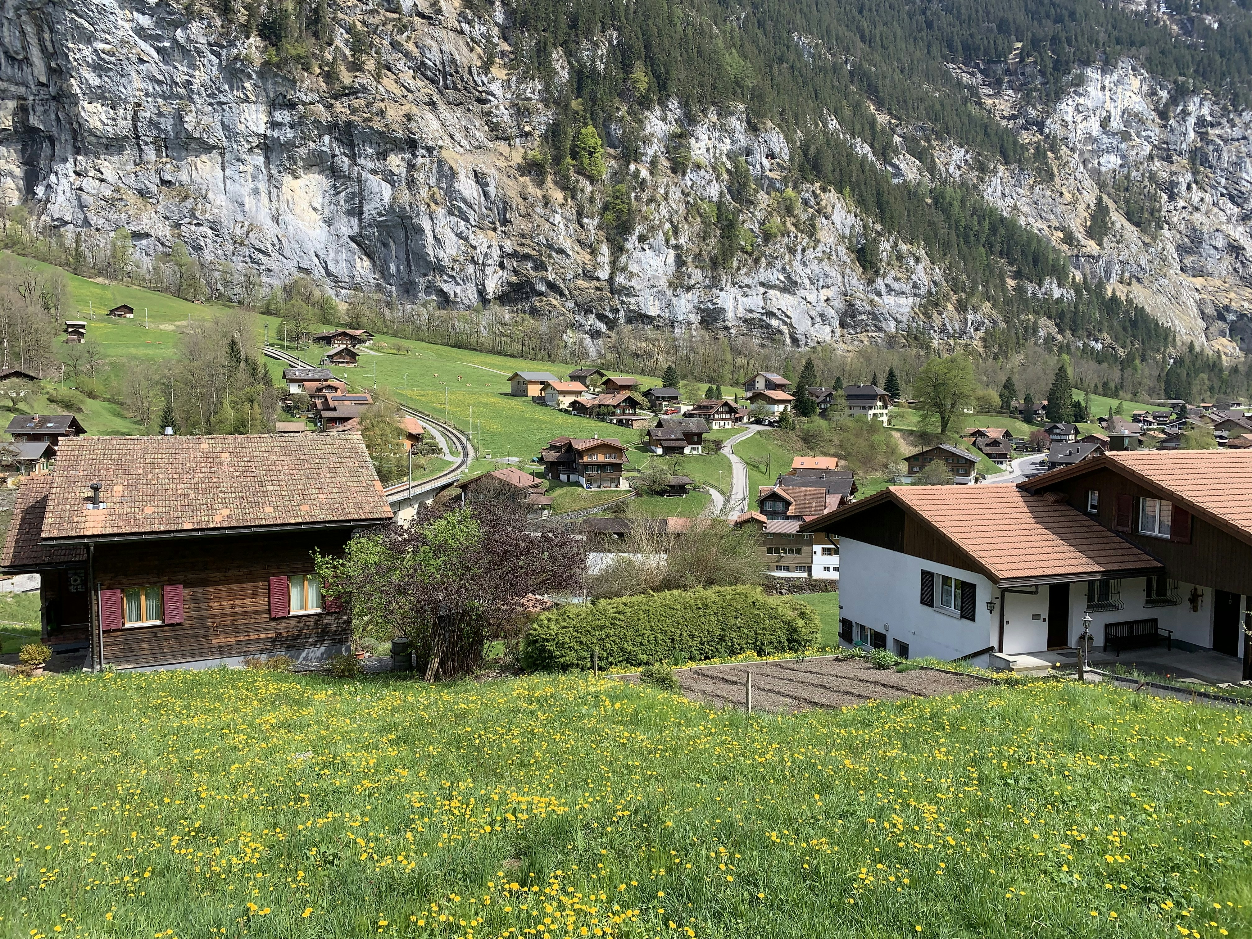 brown and white houses