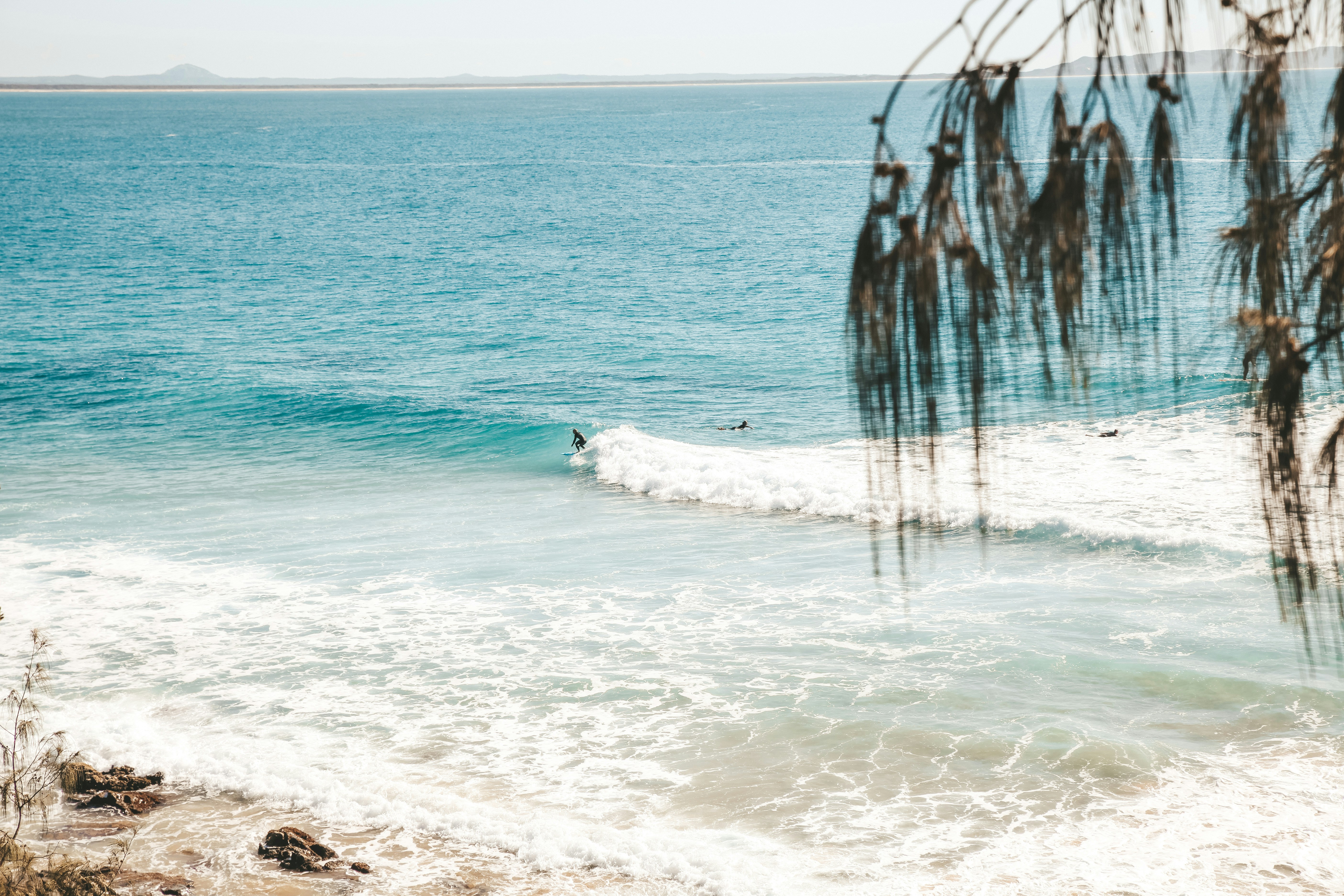 seashore and body of water