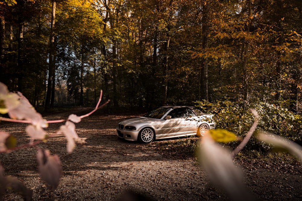 silver coupe parked under trees