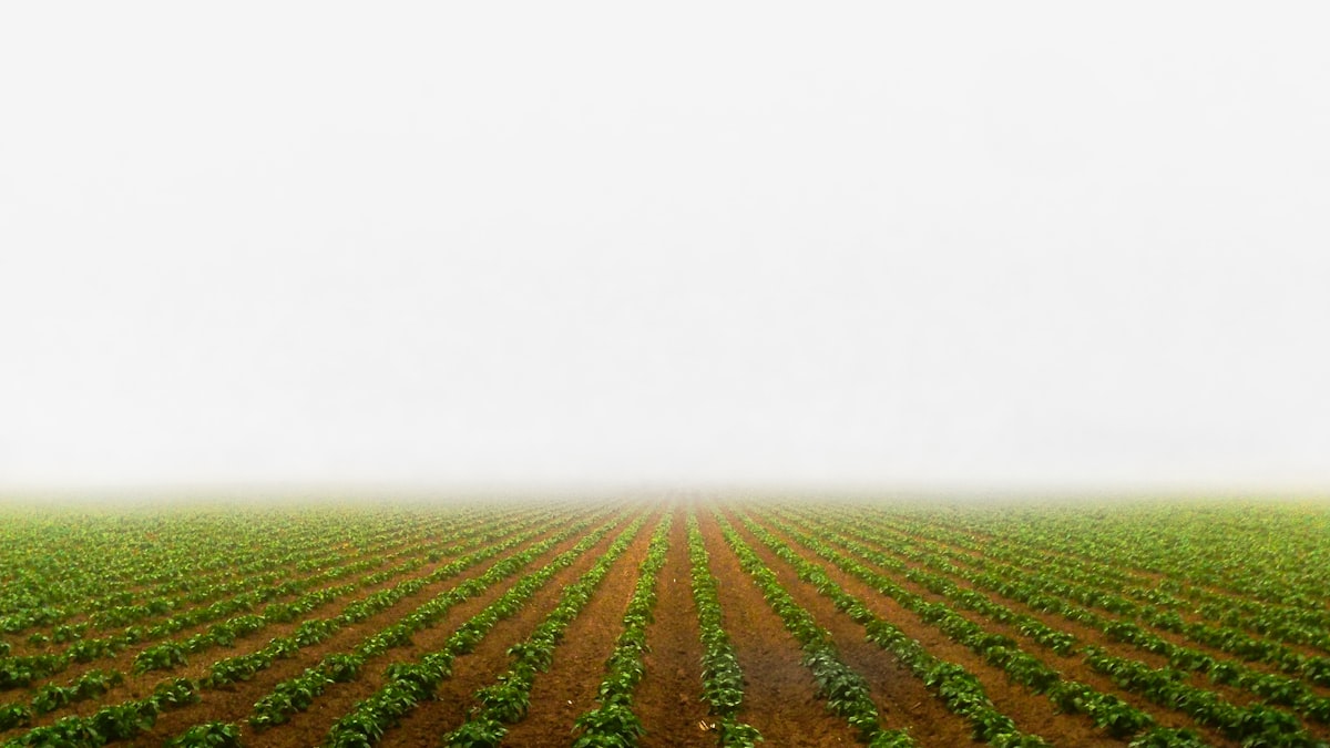 Agribusiness