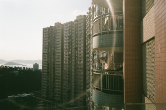 A serene urban landscape bathed in soft morning light, highlighting architectural lines.