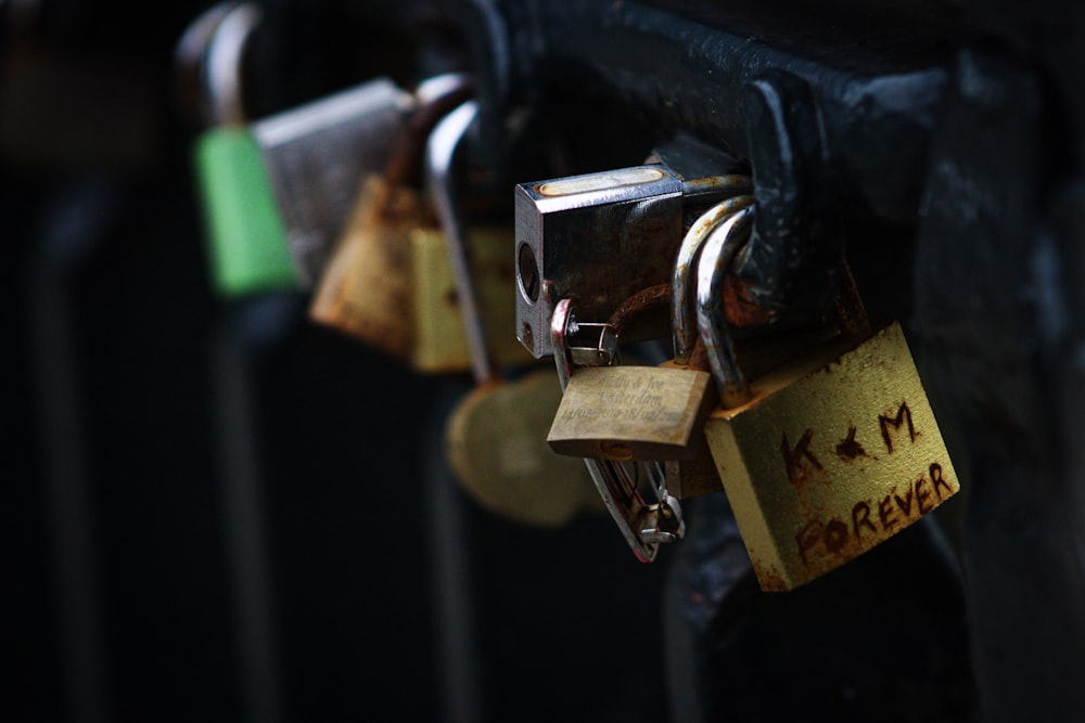 assorted-color padlocks