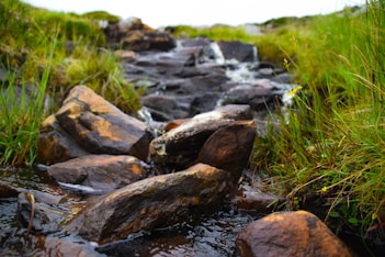 close-up photography of river during daytime