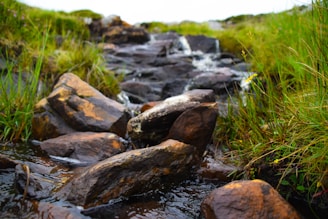 close-up photography of river during daytime