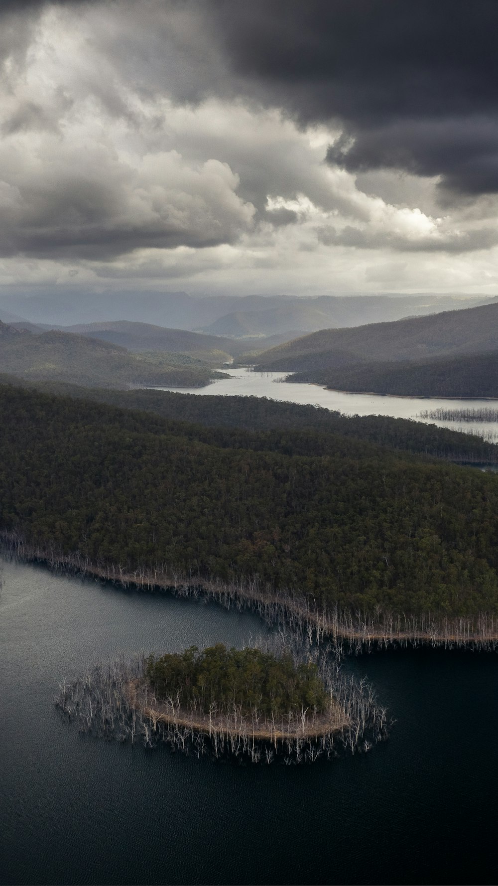 a large body of water surrounded by forest