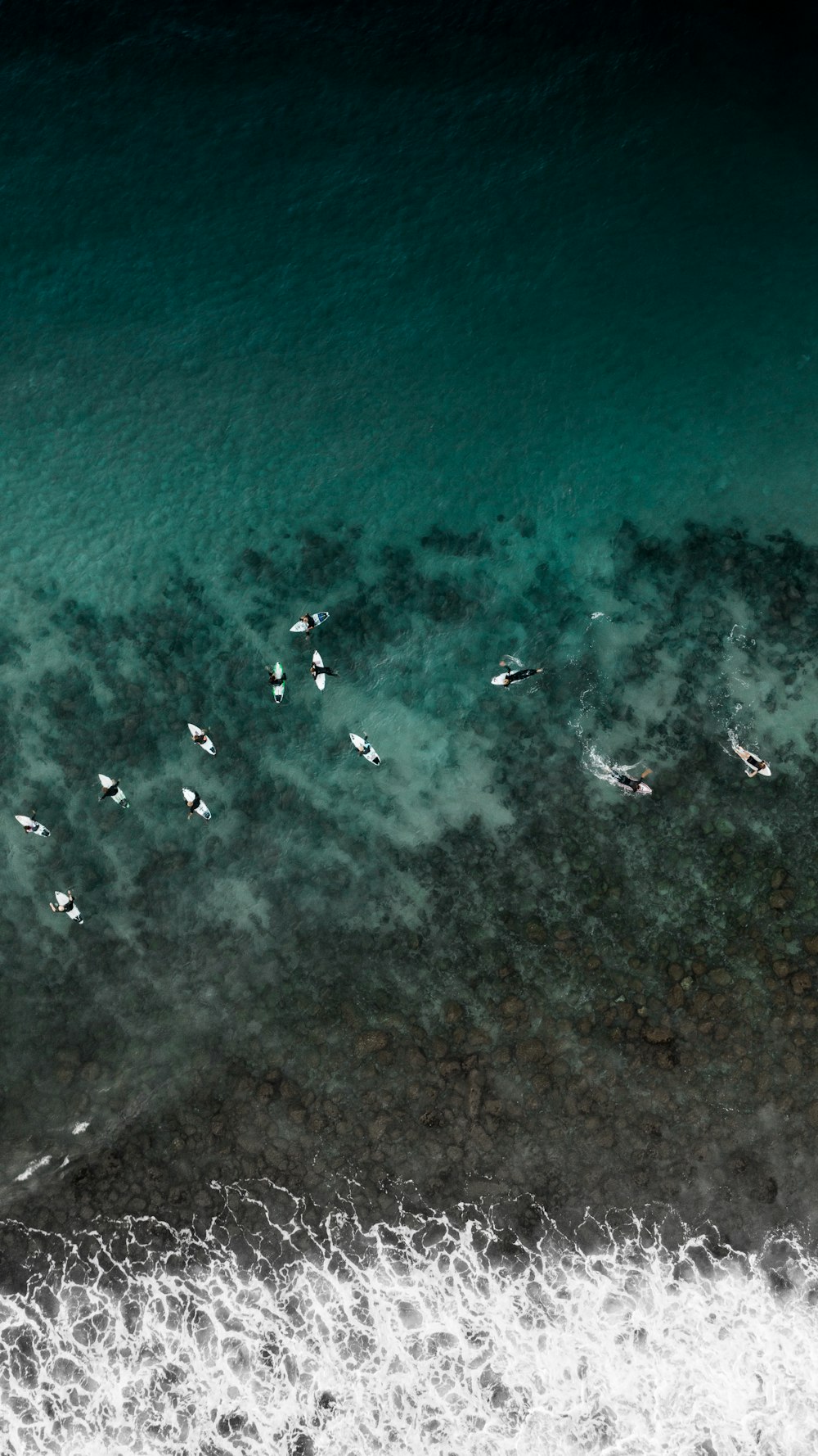 boats on water